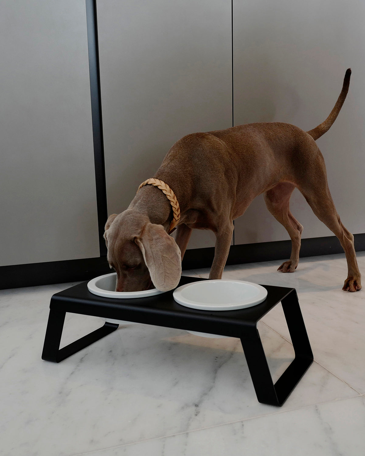 מעמד קערות מוגבה לכלב