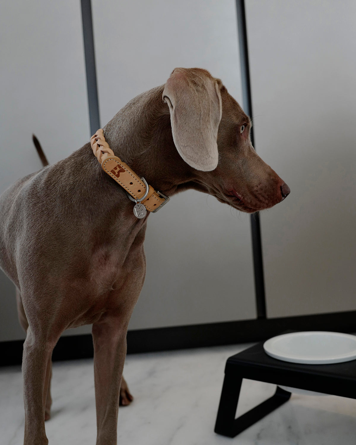 BERGAMO COWHIDE LEATHER COLLAR | קולר עור לכלב