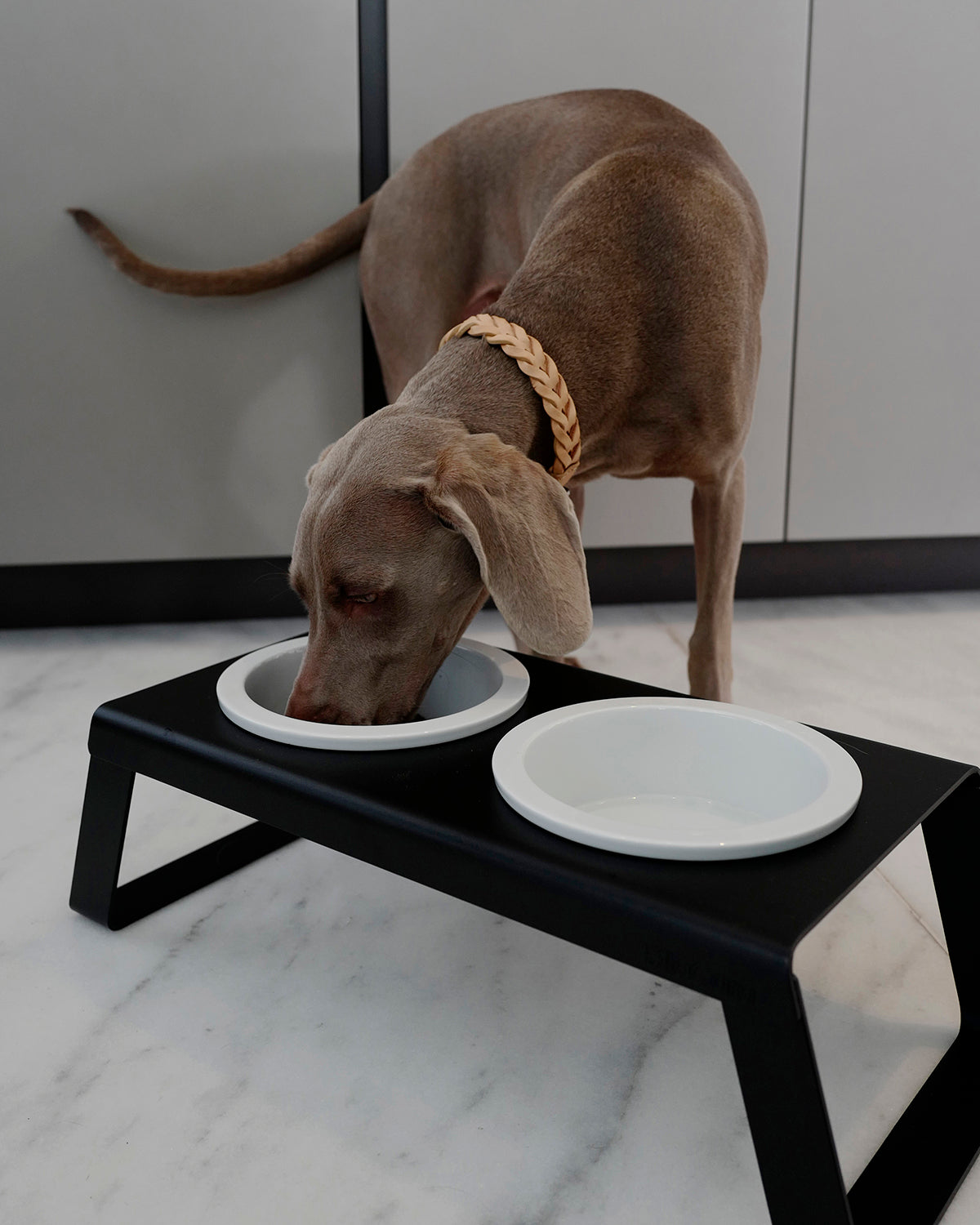 BERGAMO COWHIDE LEATHER COLLAR | קולר עור לכלב