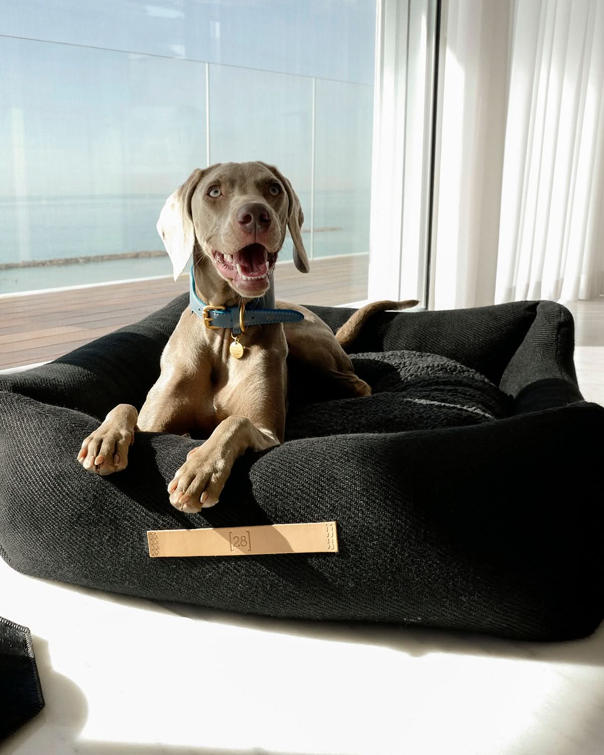 REPLACEMENT COVER FROM NATURAL JUTE FOR HENRI BED | ריפוד להחלפה למיטה לכלב