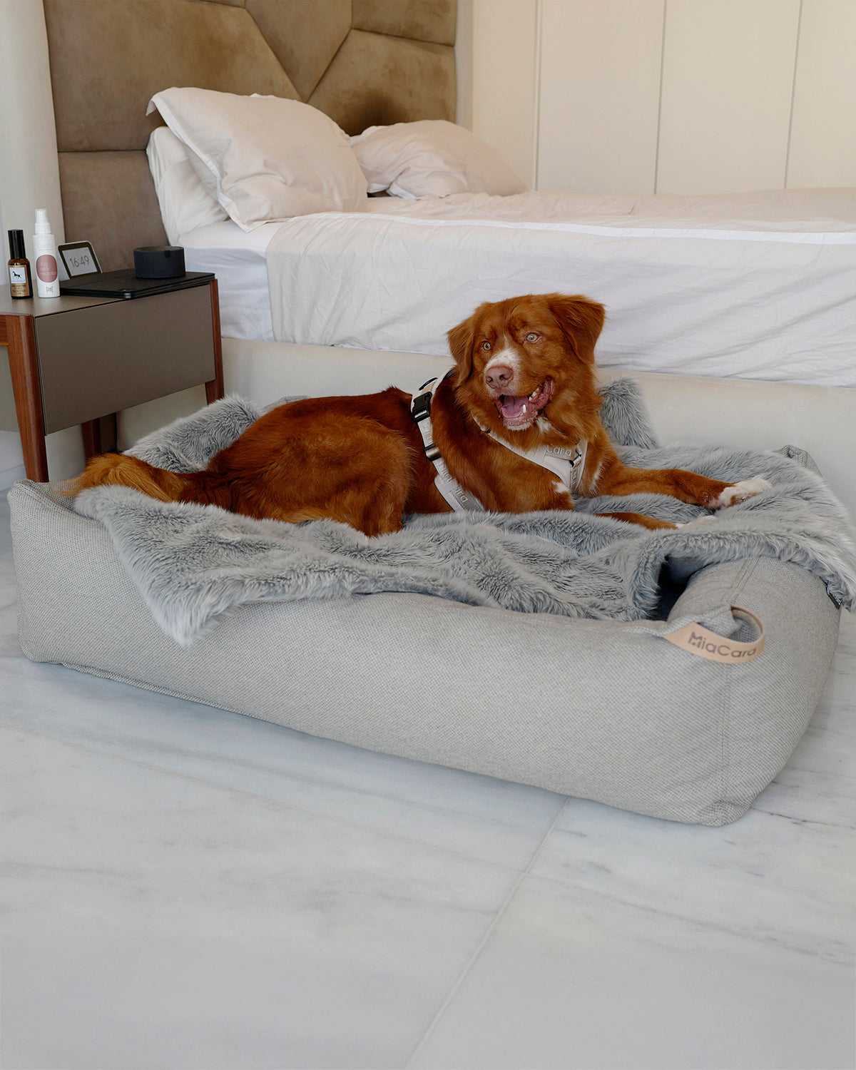 MARE DOG BOX BED | מיטה אורתופדית לכלב
