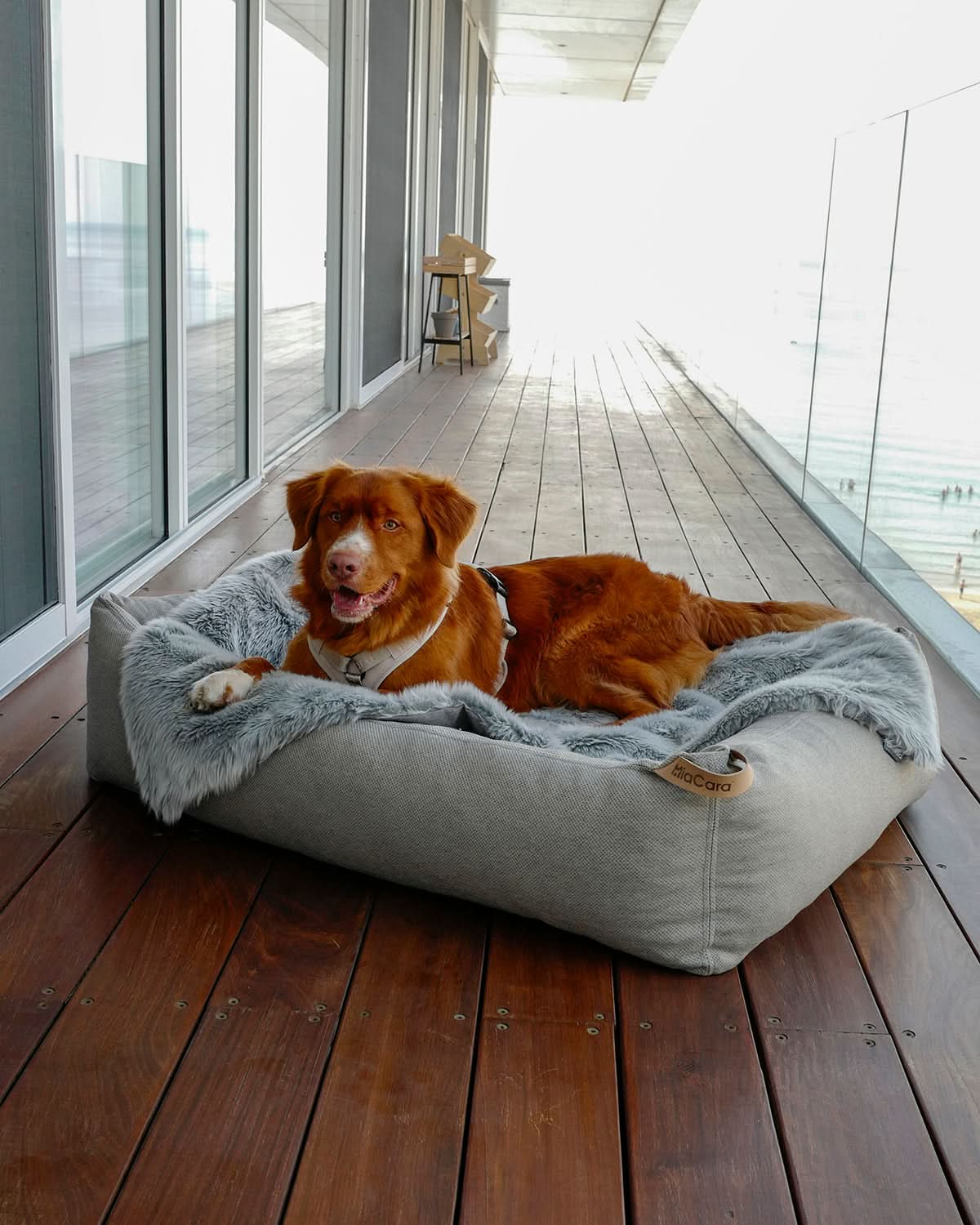 MARE DOG BOX BED | מיטה אורתופדית לכלב