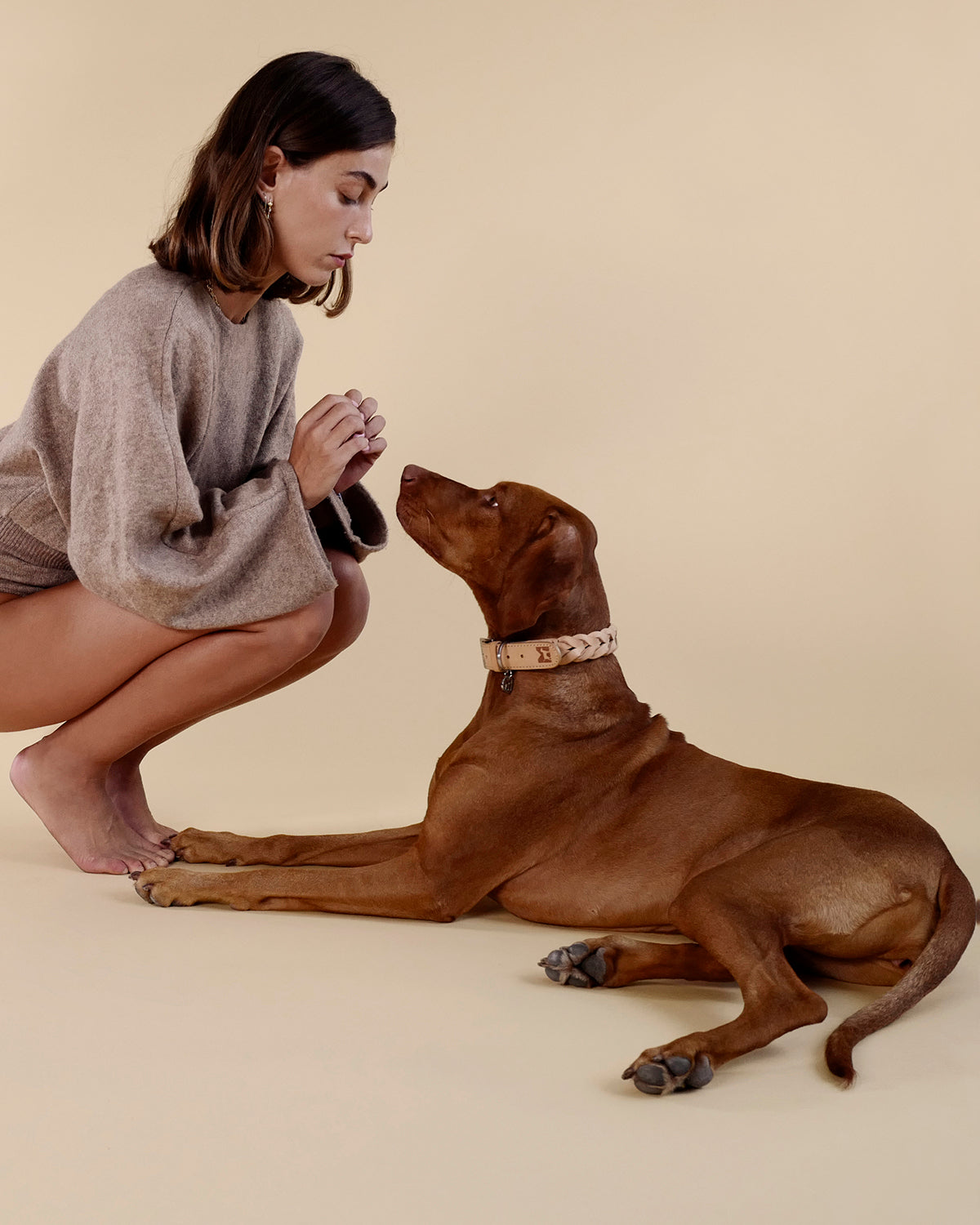 BERGAMO COWHIDE LEATHER COLLAR | קולר עור לכלב