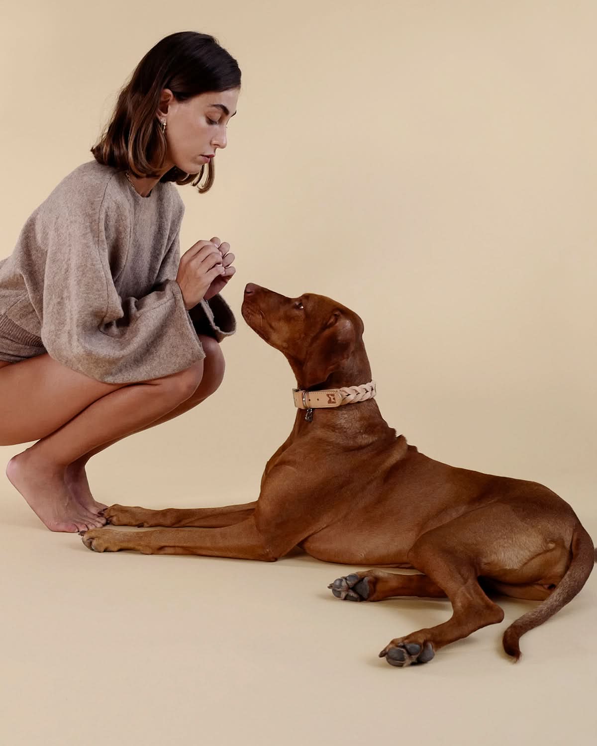 BERGAMO COWHIDE LEATHER COLLAR | קולר עור לכלב