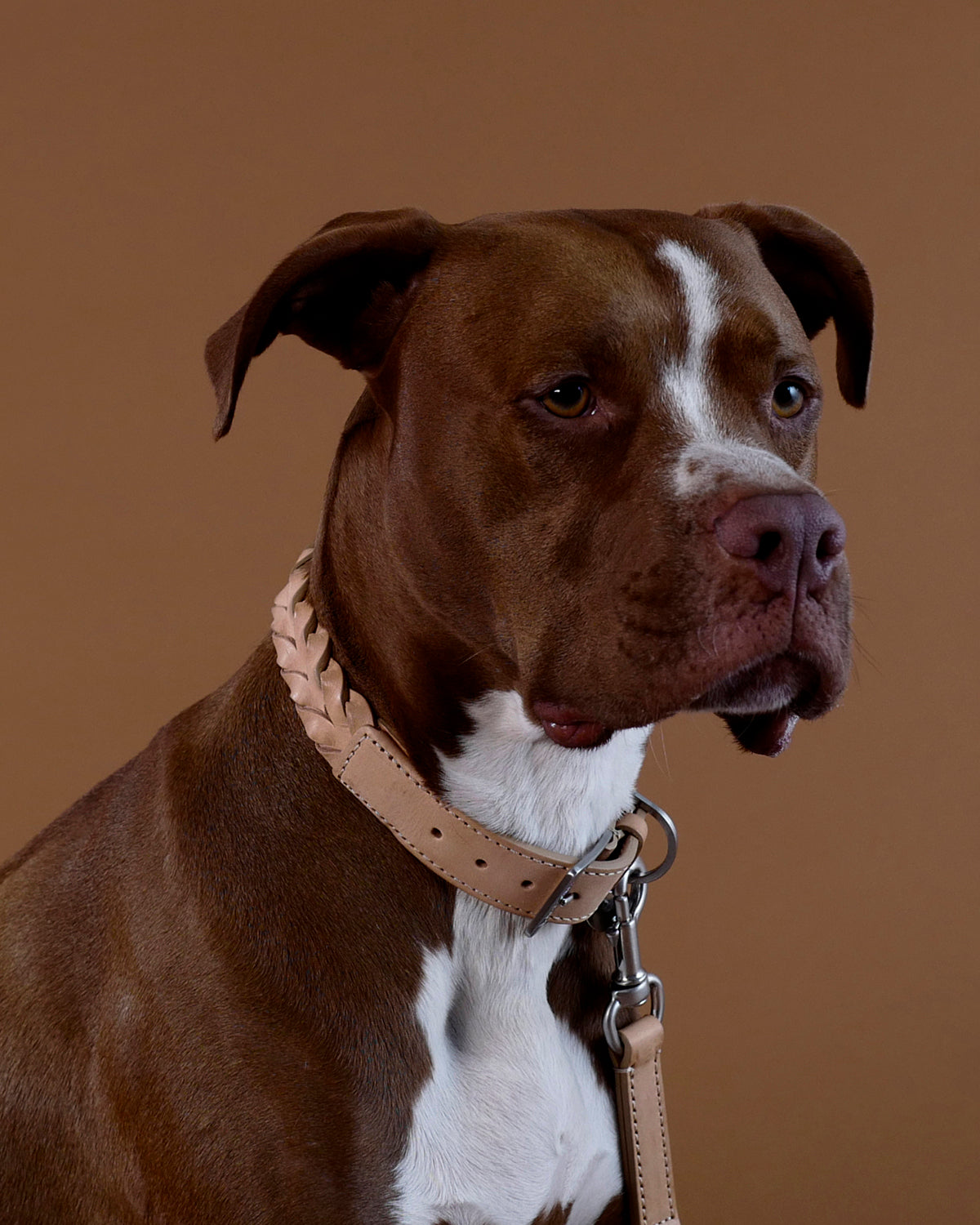 BERGAMO COWHIDE LEATHER COLLAR | קולר עור לכלב