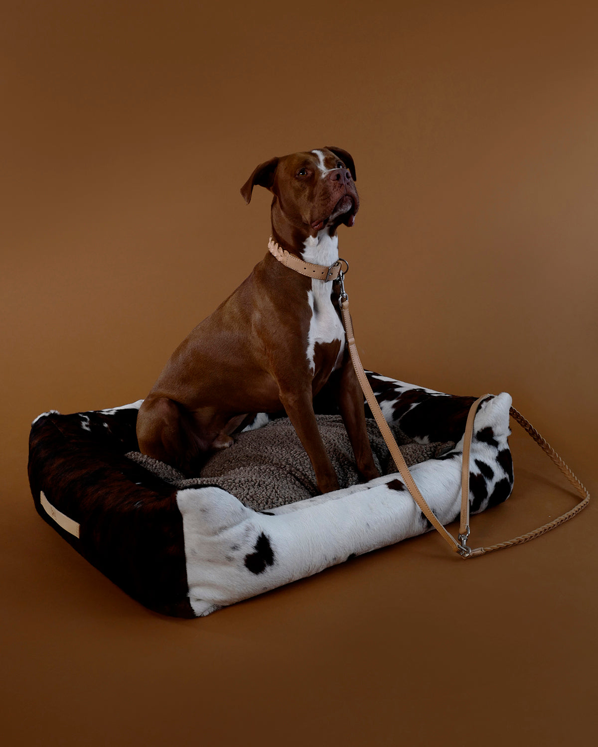 BERGAMO BRAIDED COWHIDE LEATHER LEAD | רצועה מתכווננת לכלב