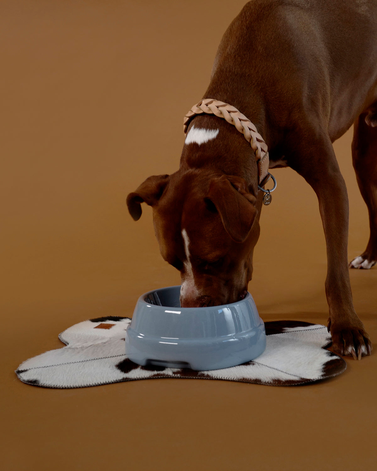 BRUCE HIDE PLACEMAT | פלייסמט לקרות לכלב ולחתול