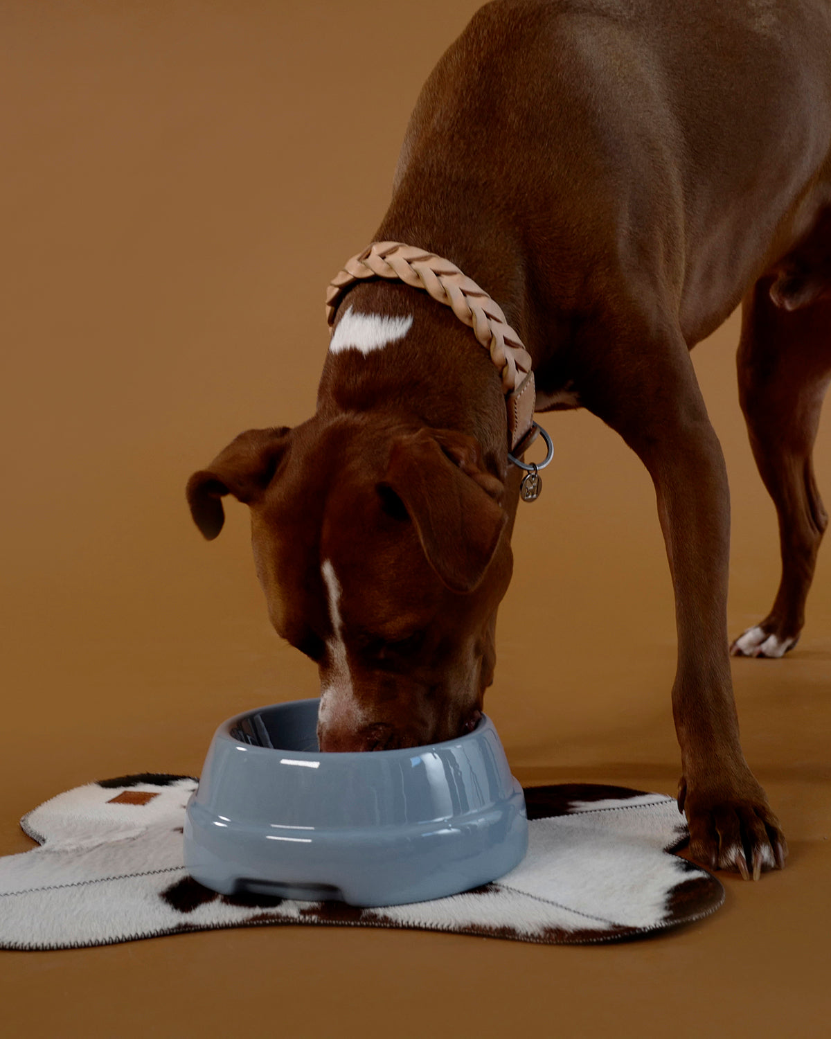 BERGAMO COWHIDE LEATHER COLLAR | קולר עור לכלב