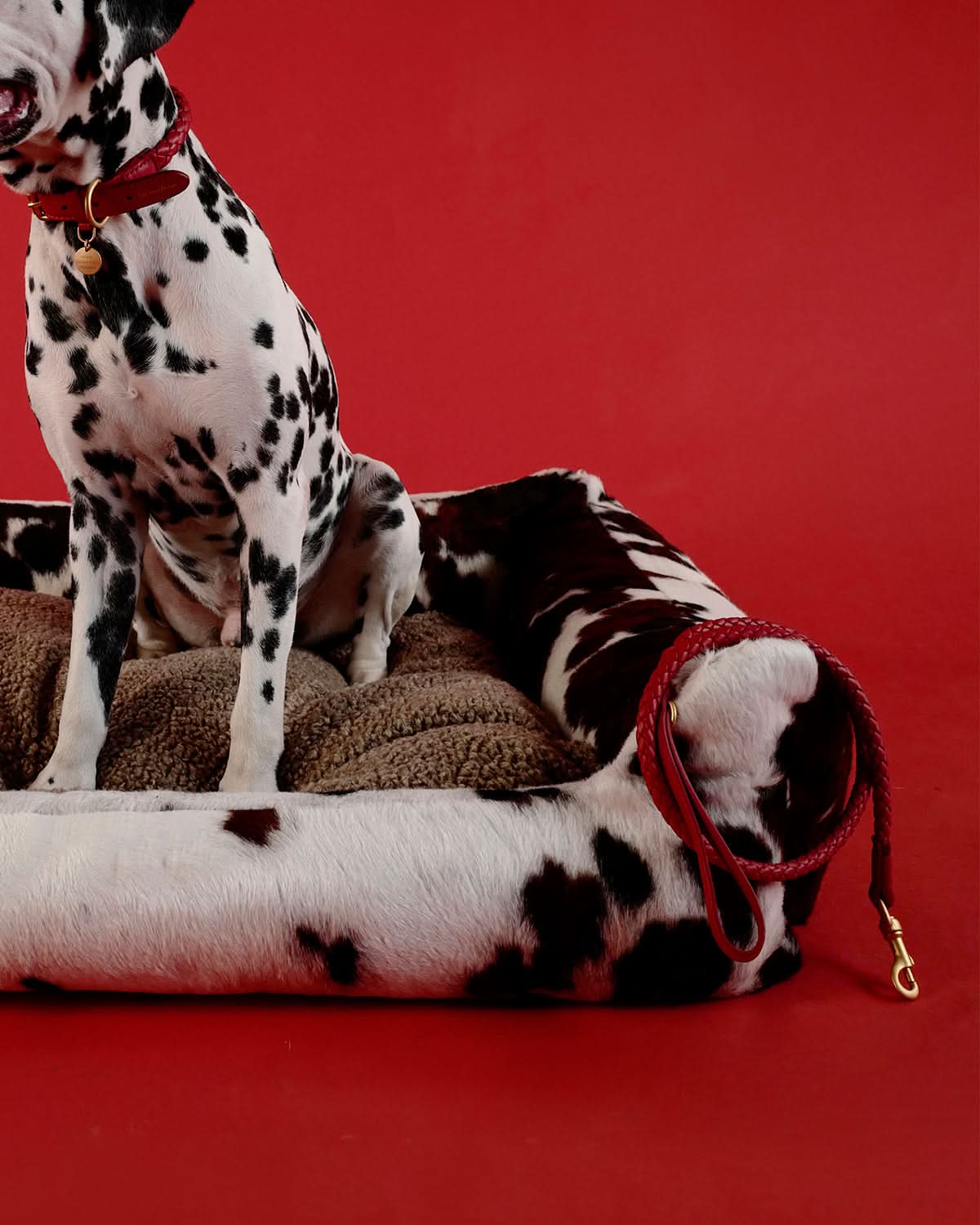 FERDINANDO NAPPA LEATHER LEASH | רצועת עור נאפה לכלב