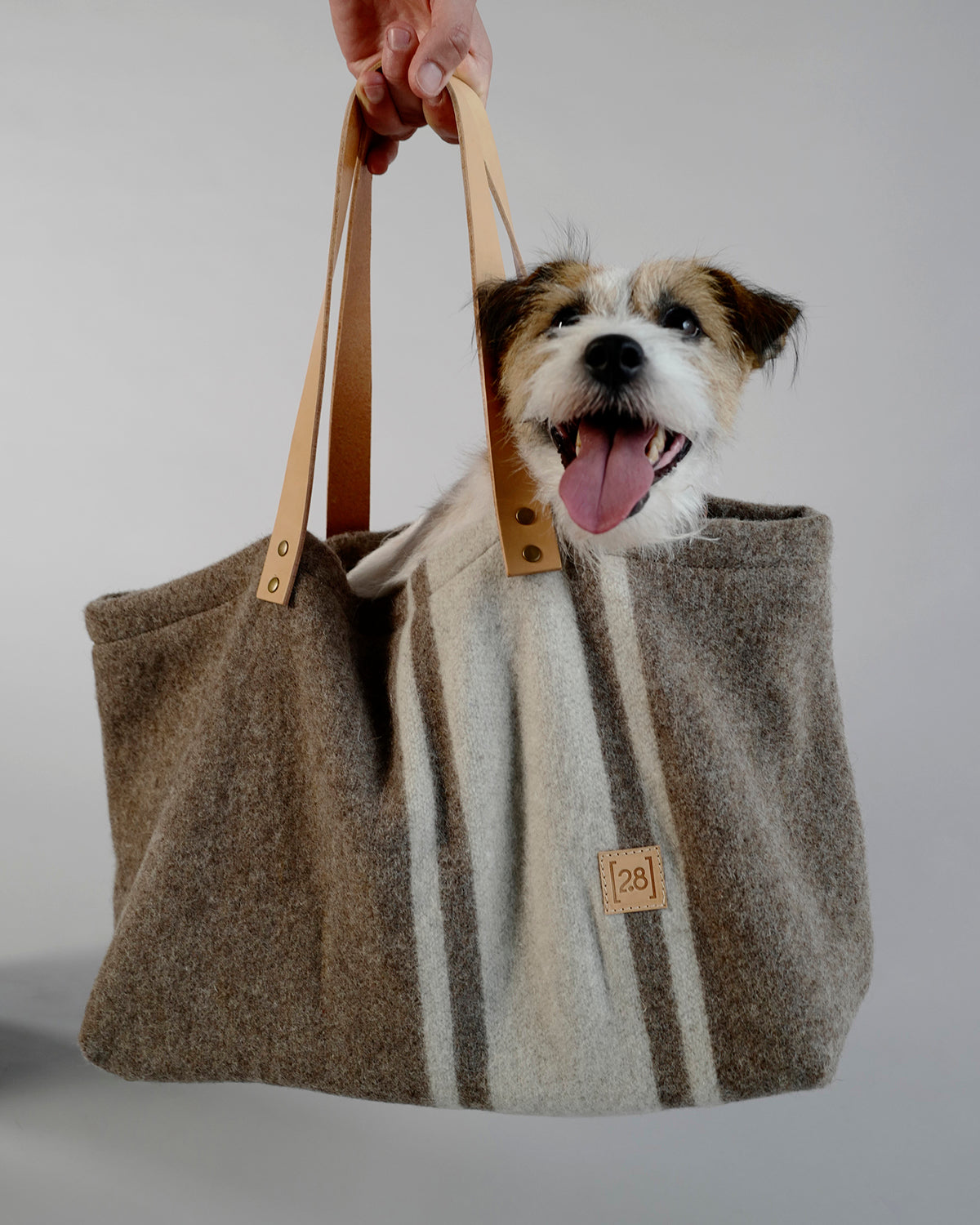 תיק נשיאה לכלב