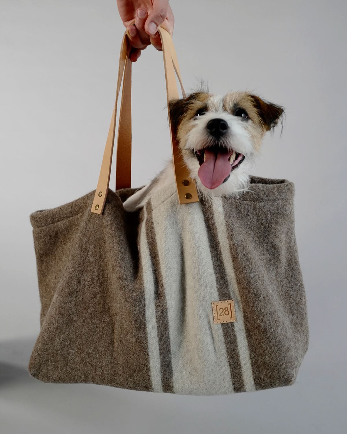 תיק נשיאה לכלב