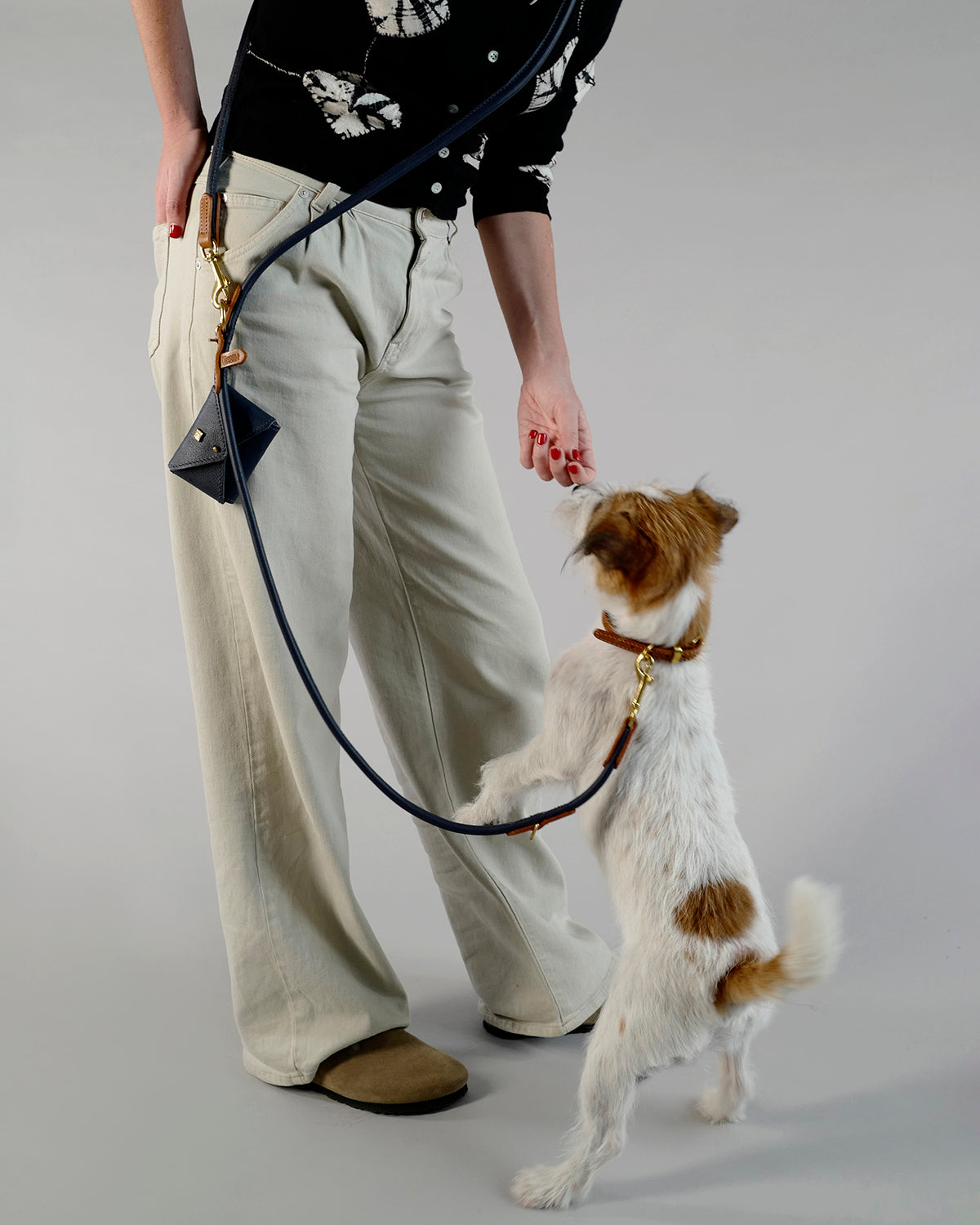 PooSh Poo Bags Holder | נרתיק לשקיות איסוף לכלב