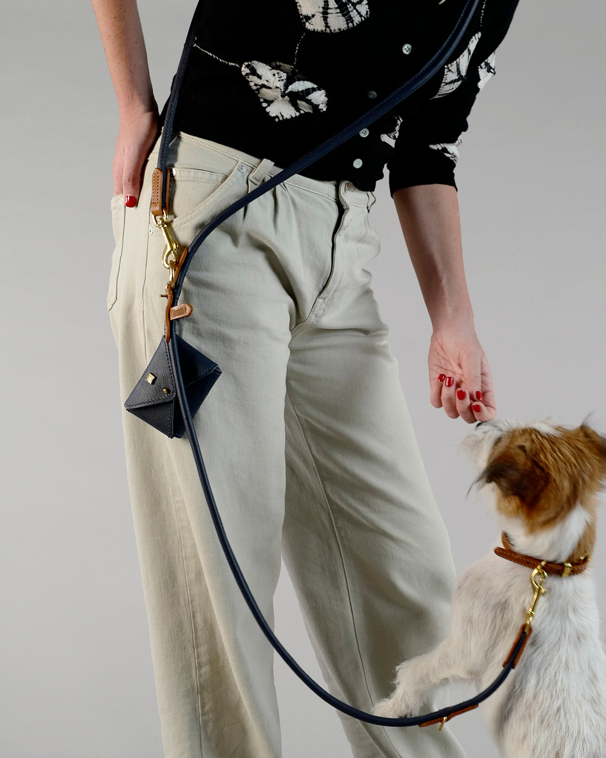 PooSh Poo Bags Holder | נרתיק לשקיות איסוף לכלב