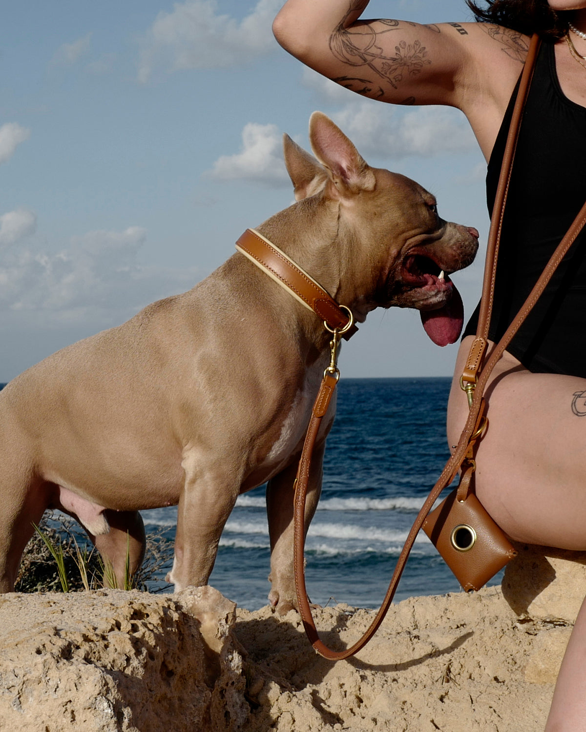 PooSh Poo Bags Holder | נרתיק לשקיות איסוף לכלב