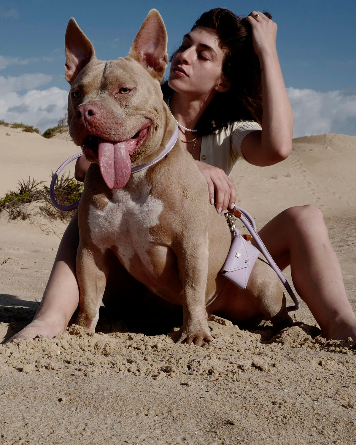 PooSh Poo Bags Holder | נרתיק לשקיות איסוף לכלב