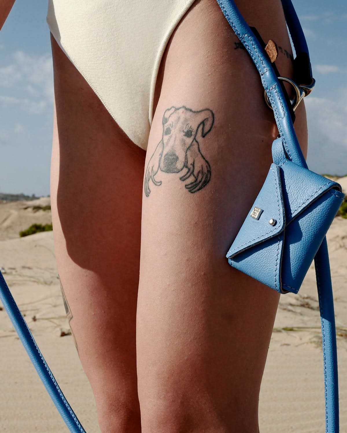 PooSh Poo Bags Holder | נרתיק לשקיות איסוף לכלב