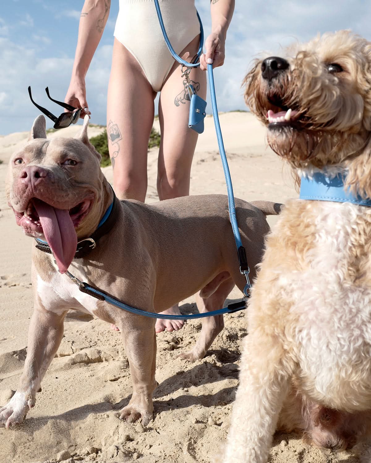 FLAT & WIDER COLLAR | קולר עור רחב לכלב