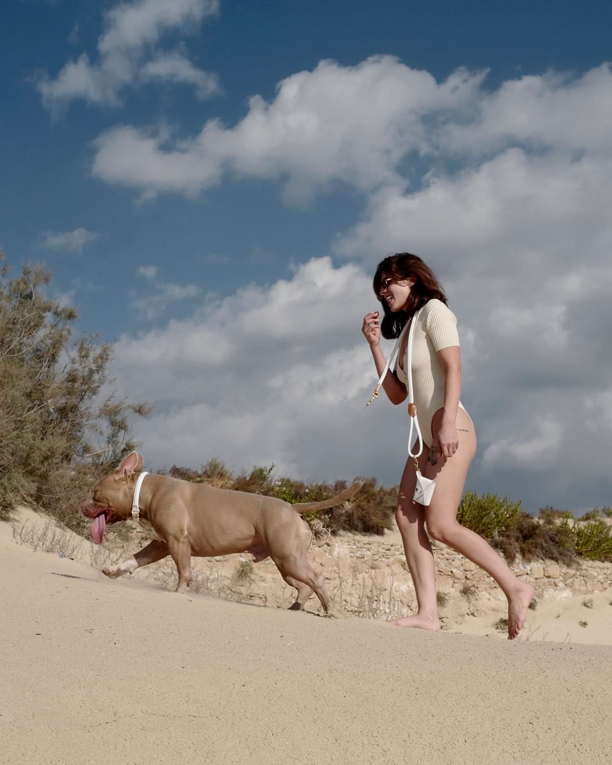 PooSh Poo Bags Holder | נרתיק לשקיות איסוף לכלב