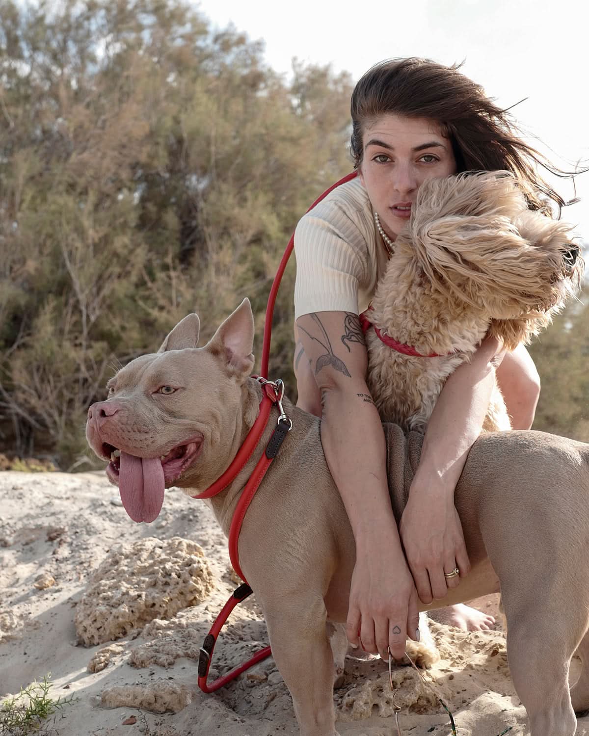 ROLLED SOFT LEATHER COLLAR | קולר עור לכלב