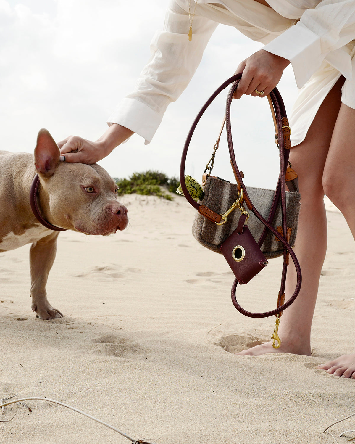 PooSh Poo Bags Holder | נרתיק לשקיות איסוף לכלב