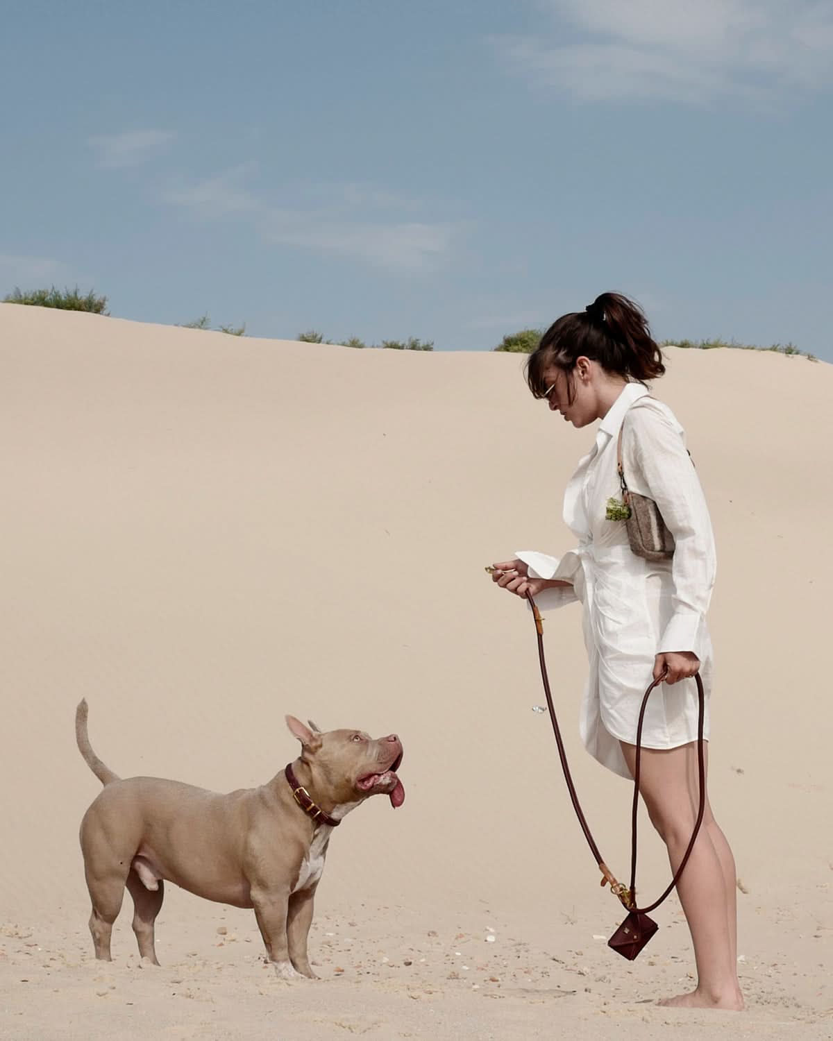 רצועות ארוכות לכלבים