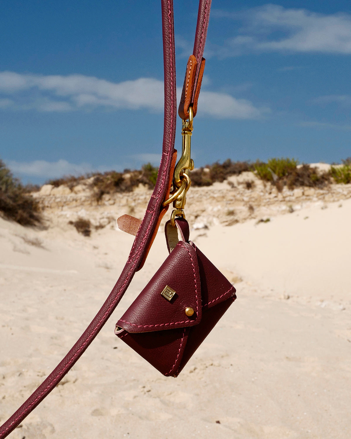 PooSh Poo Bags Holder | נרתיק לשקיות איסוף לכלב