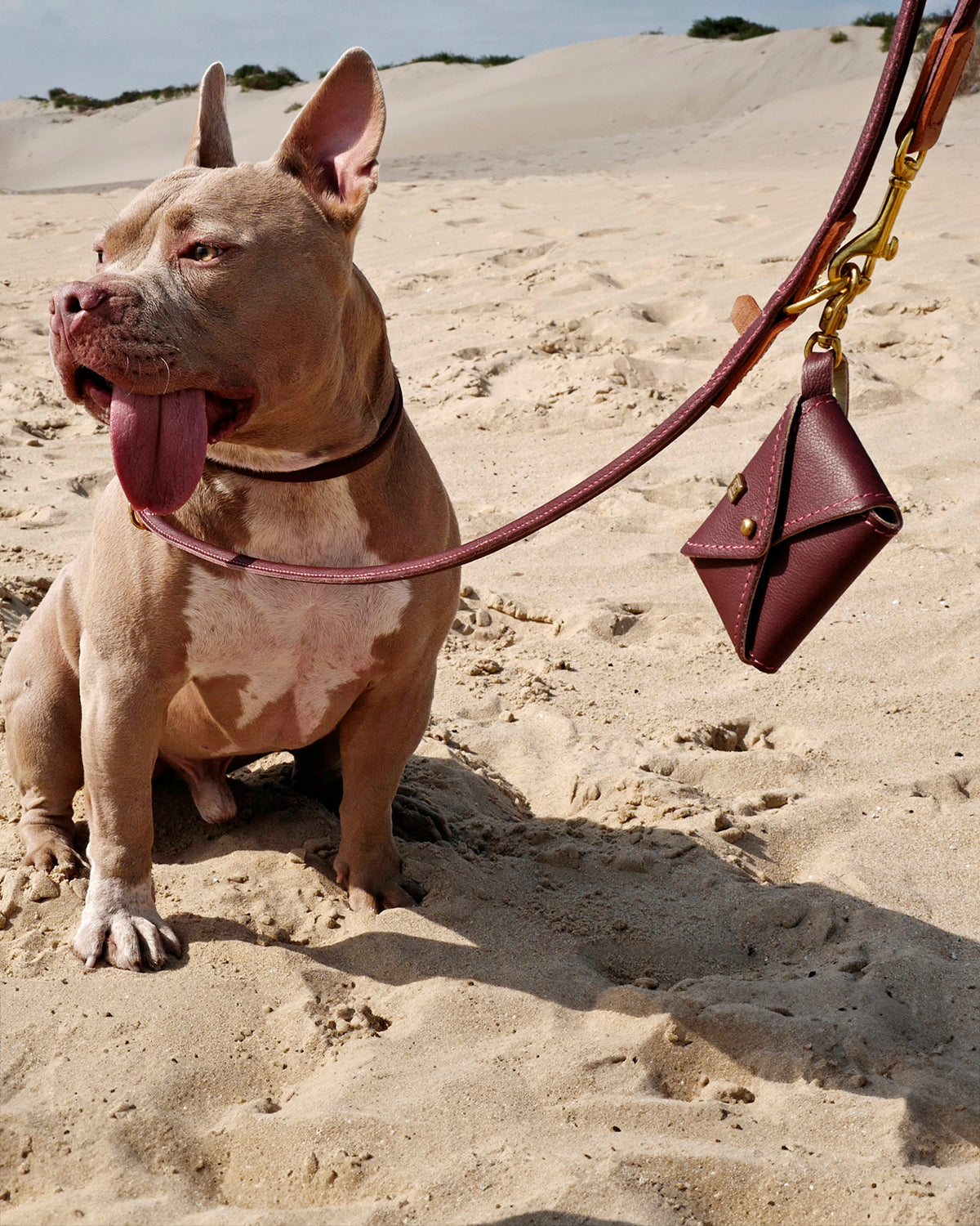 ROLLED SOFT LEATHER COLLAR | קולר עור לכלב