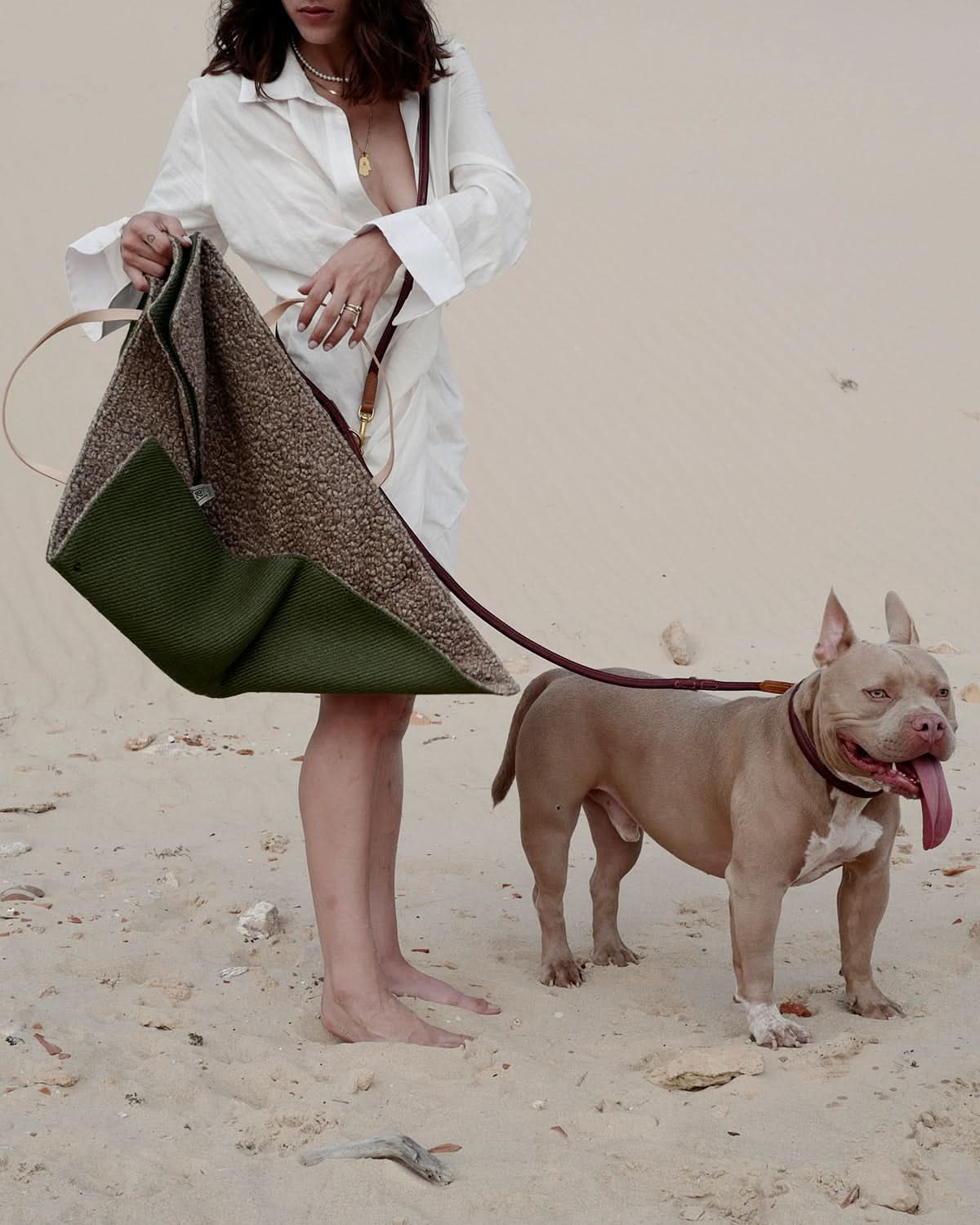 רצועות ארוכות לכלבים