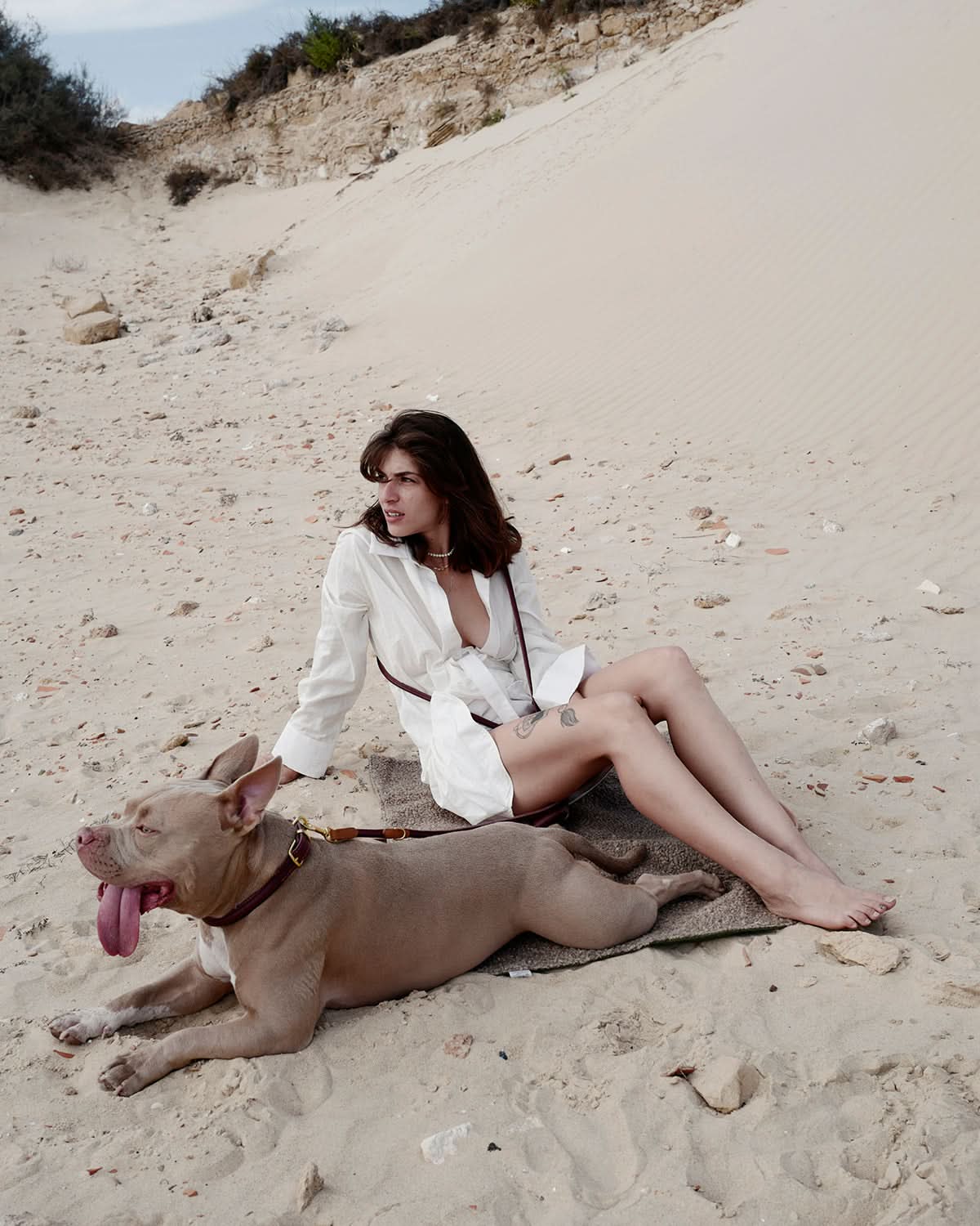 ROLLED SOFT LEATHER COLLAR | קולר עור לכלב