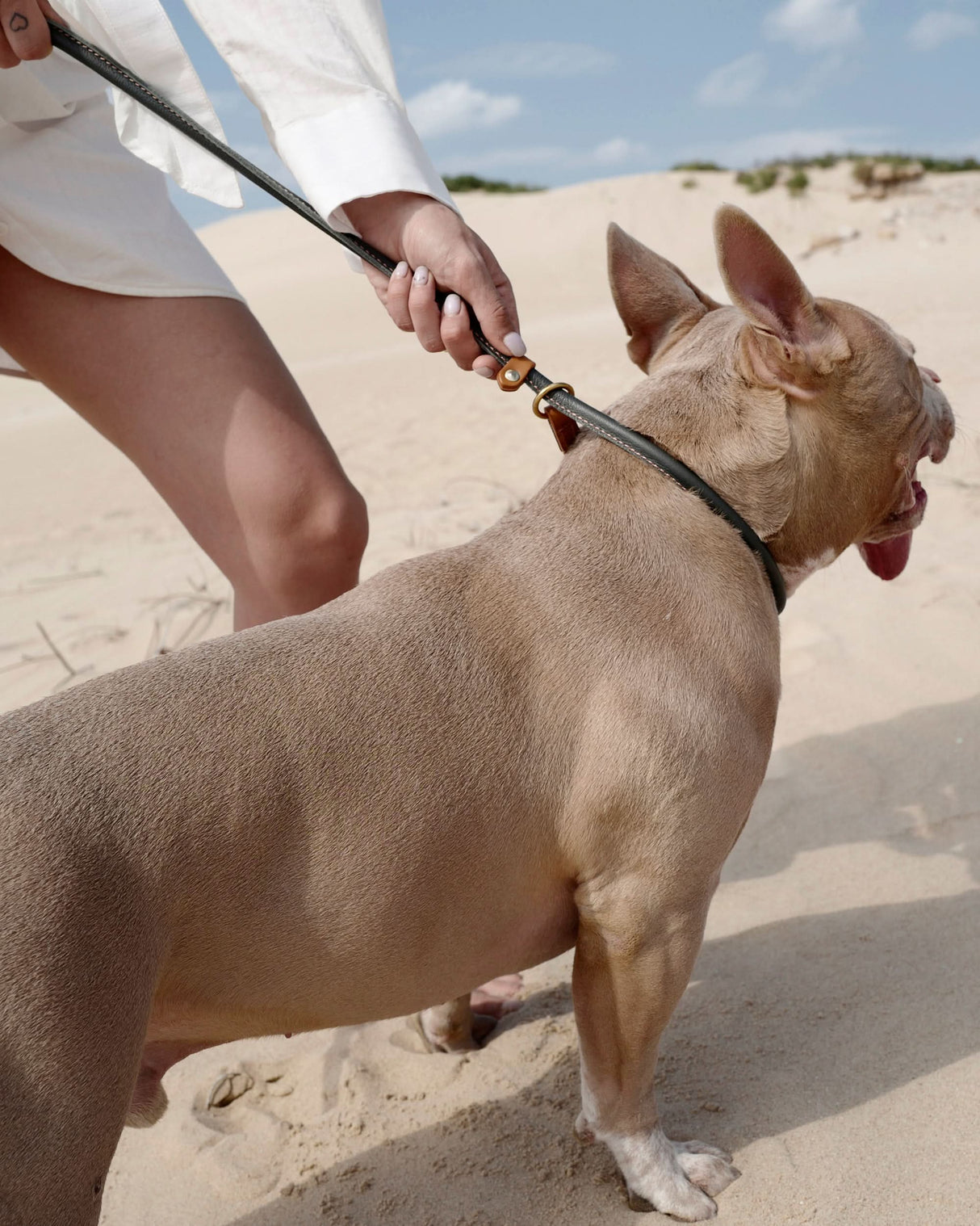 רצועת אילוף לכלב, רצועת סליפ לכלב
Dog Slip Lead, Dog Training Lead