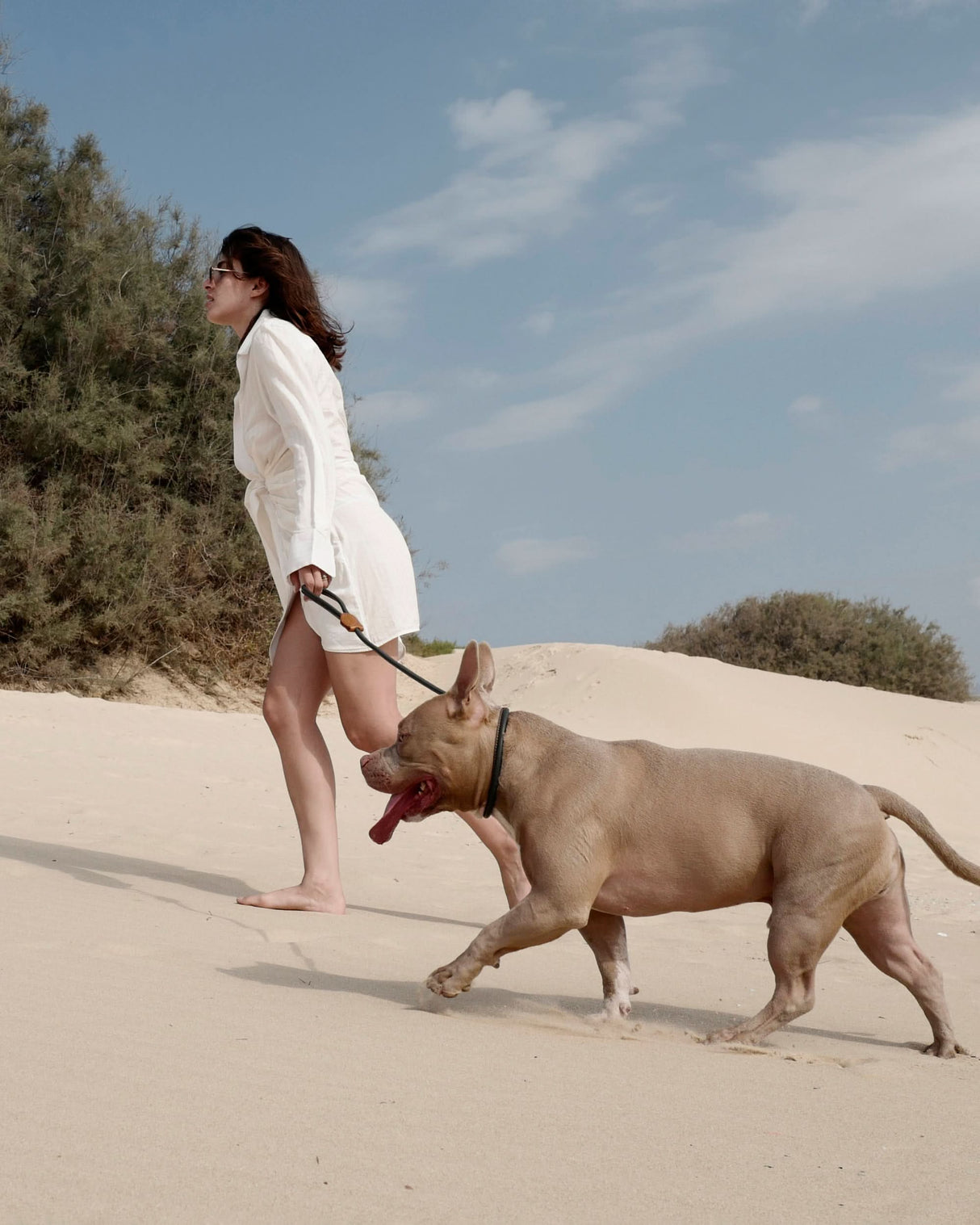 DOG SLIP LEASH | רצועת אילוף משולבת קולר לכלב