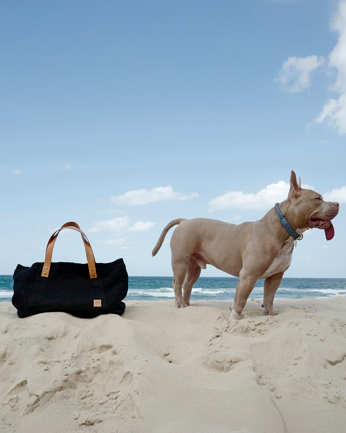 תיקי נשיאה לכלבים