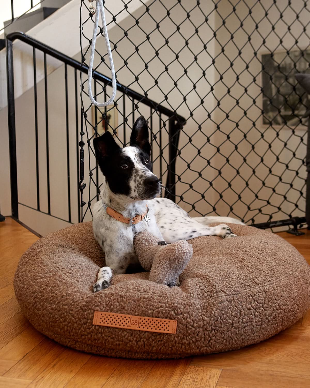 מיטת פוף לכלב