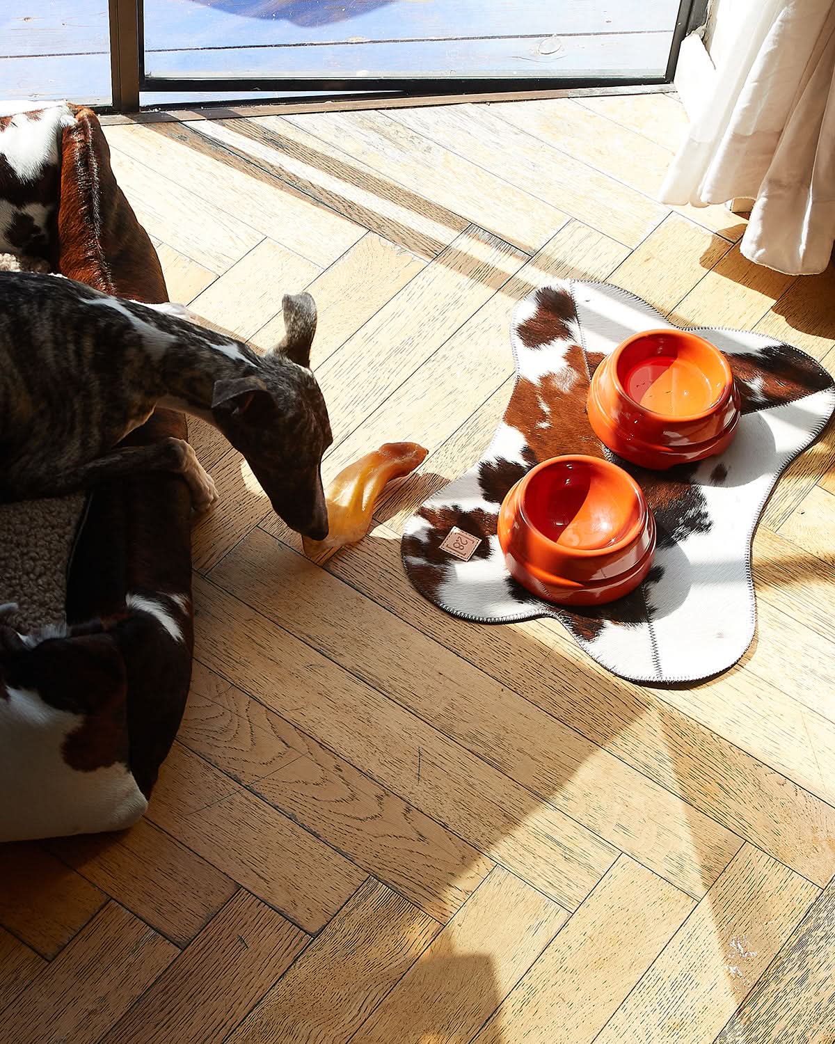 BRUCE COWHIDE PLACEMAT | פלייסמט לקערות לכלב ולחתול