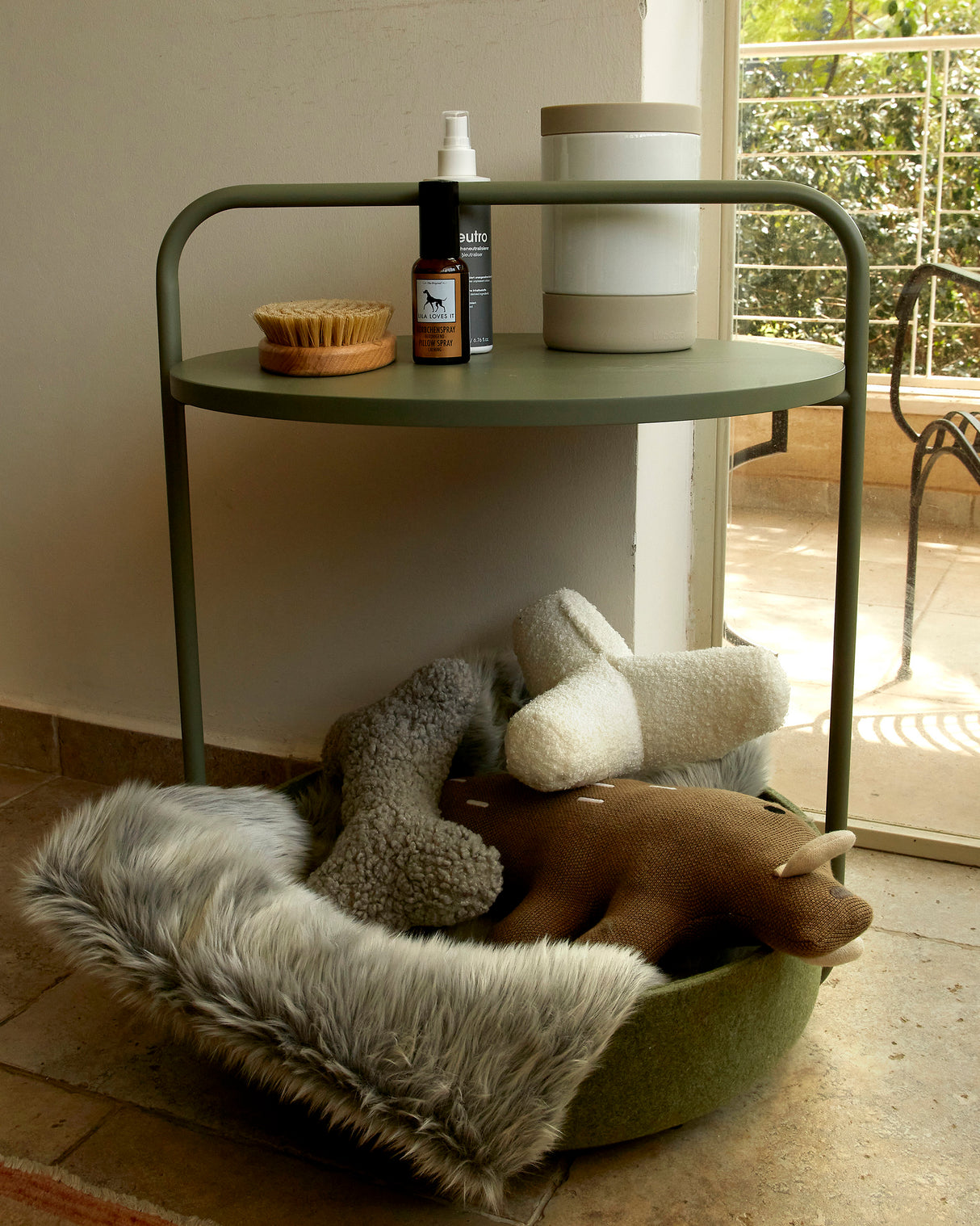 שולחן קפה / מיטה לכלב | TAVOLINO SIDE TABLE/DOG BED