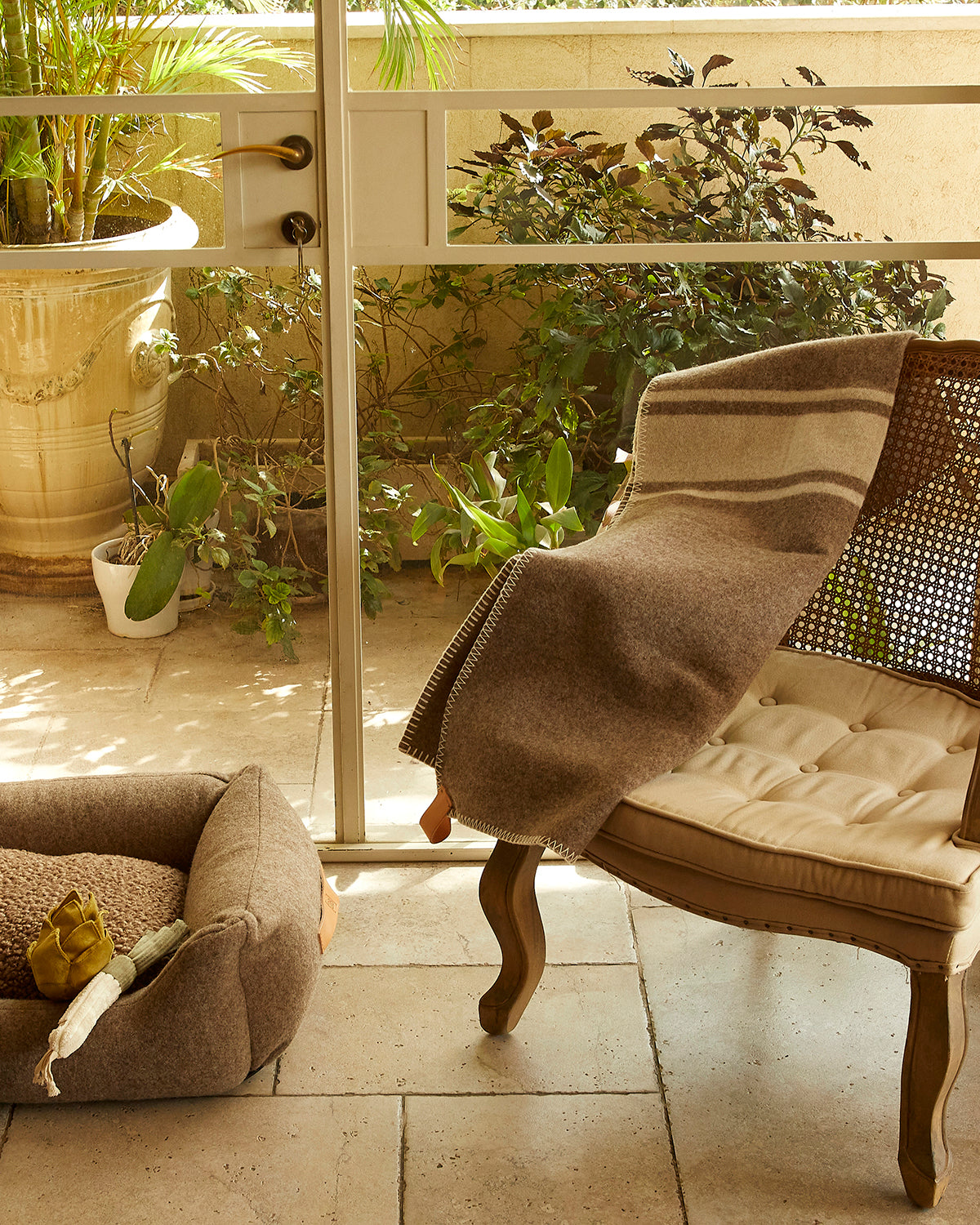 שמיכות צמר לכלב, שמיכות צמר לחתולים