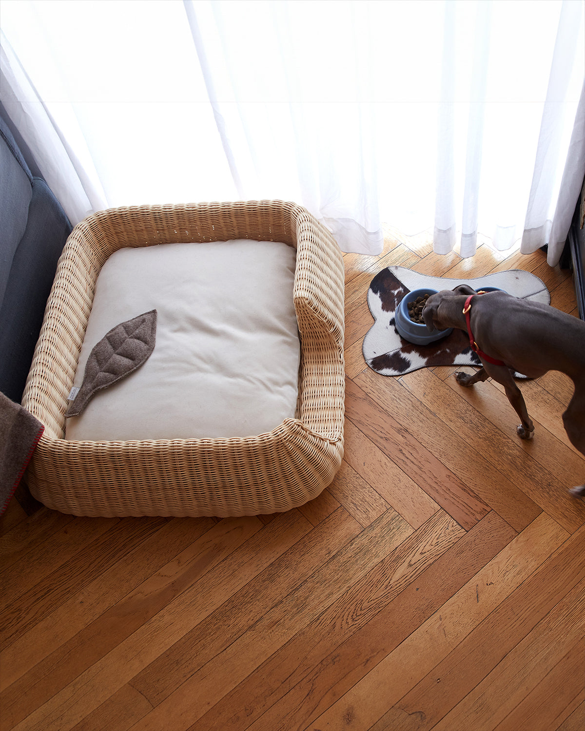 BRUCE HIDE PLACEMAT | פלייסמט לקרות לכלב ולחתול