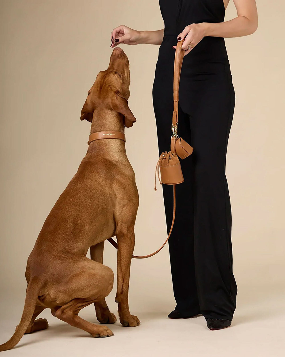 Luxe Smooth Leather Dog Leash | רצועת עור נאפה ארוכה ומתכווננת לכלב