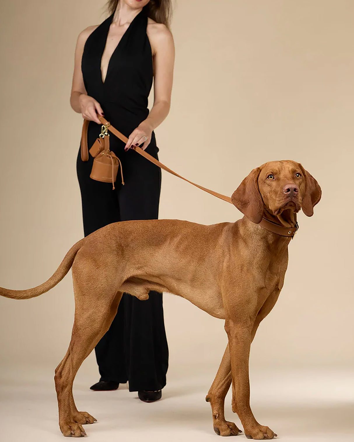 Luxe Smooth Leather Dog Collar | קולר עור נאפה לכלב