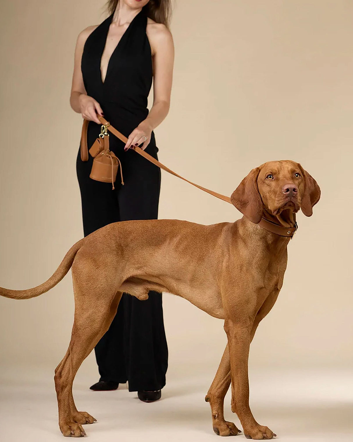 Luxe Smooth Leather Dog Collar | קולר עור נאפה לכלב