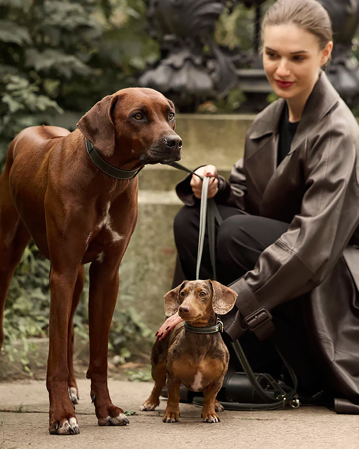 Luxe Suede Leather Dog Leash | רצועת עור ארוכה ומתכווננת לכלב