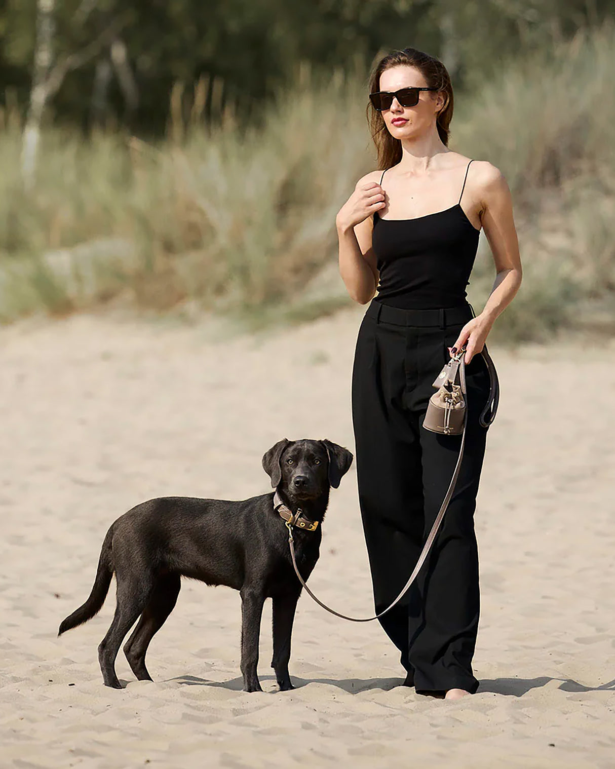 Luxe Smooth Leather Dog Collar | קולר עור נאפה לכלב