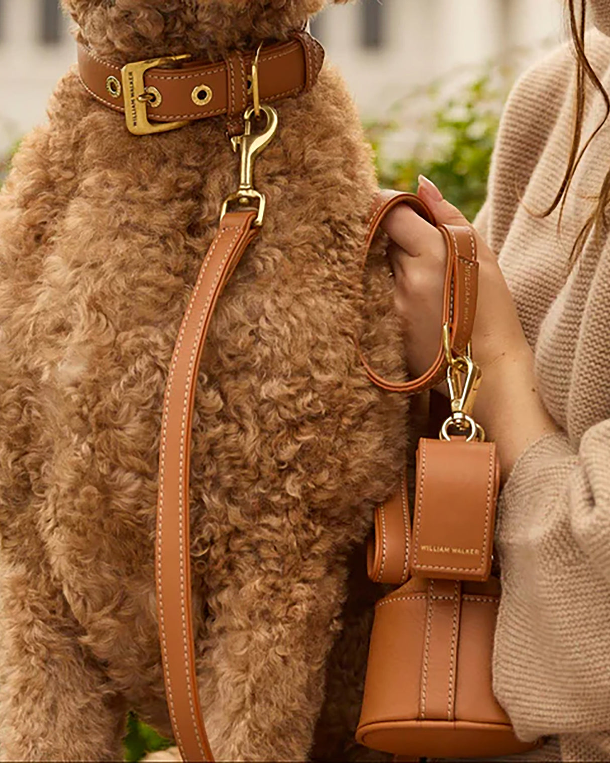 Luxe Smooth Leather Dog Leash | רצועת עור נאפה ארוכה ומתכווננת לכלב