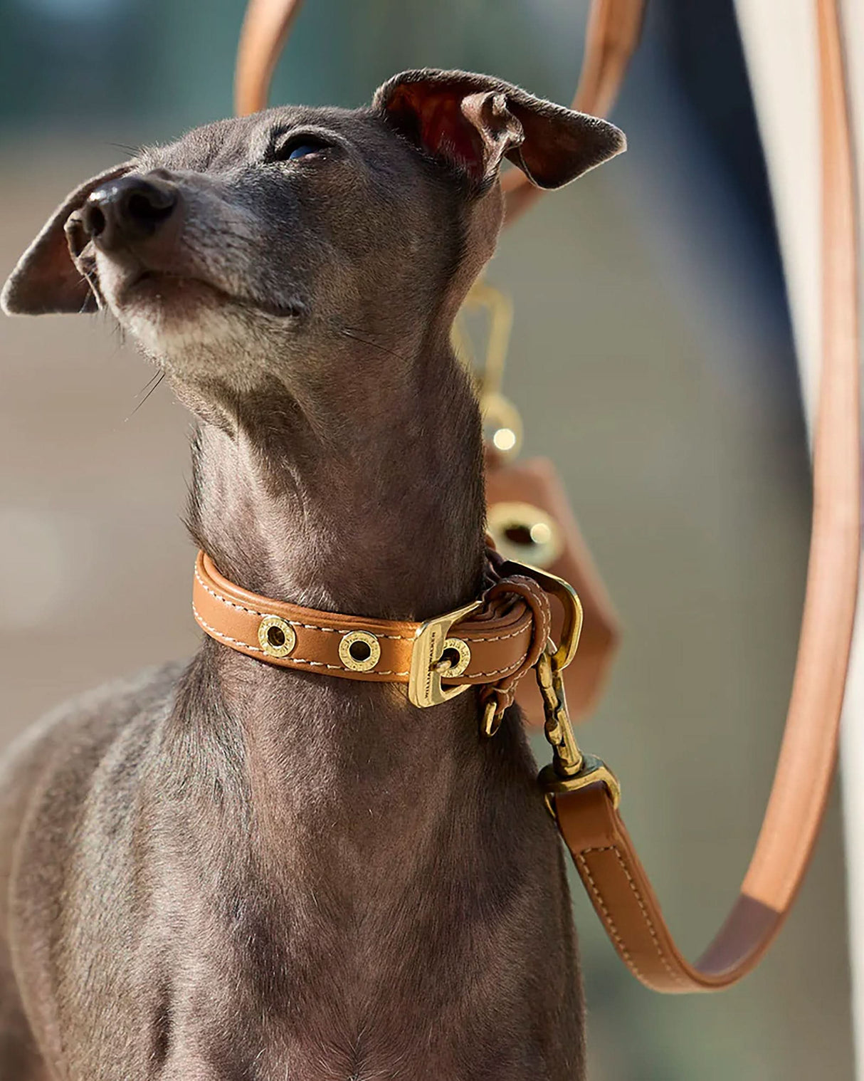 Luxe Smooth Leather Dog Leash | רצועת עור נאפה ארוכה ומתכווננת לכלב