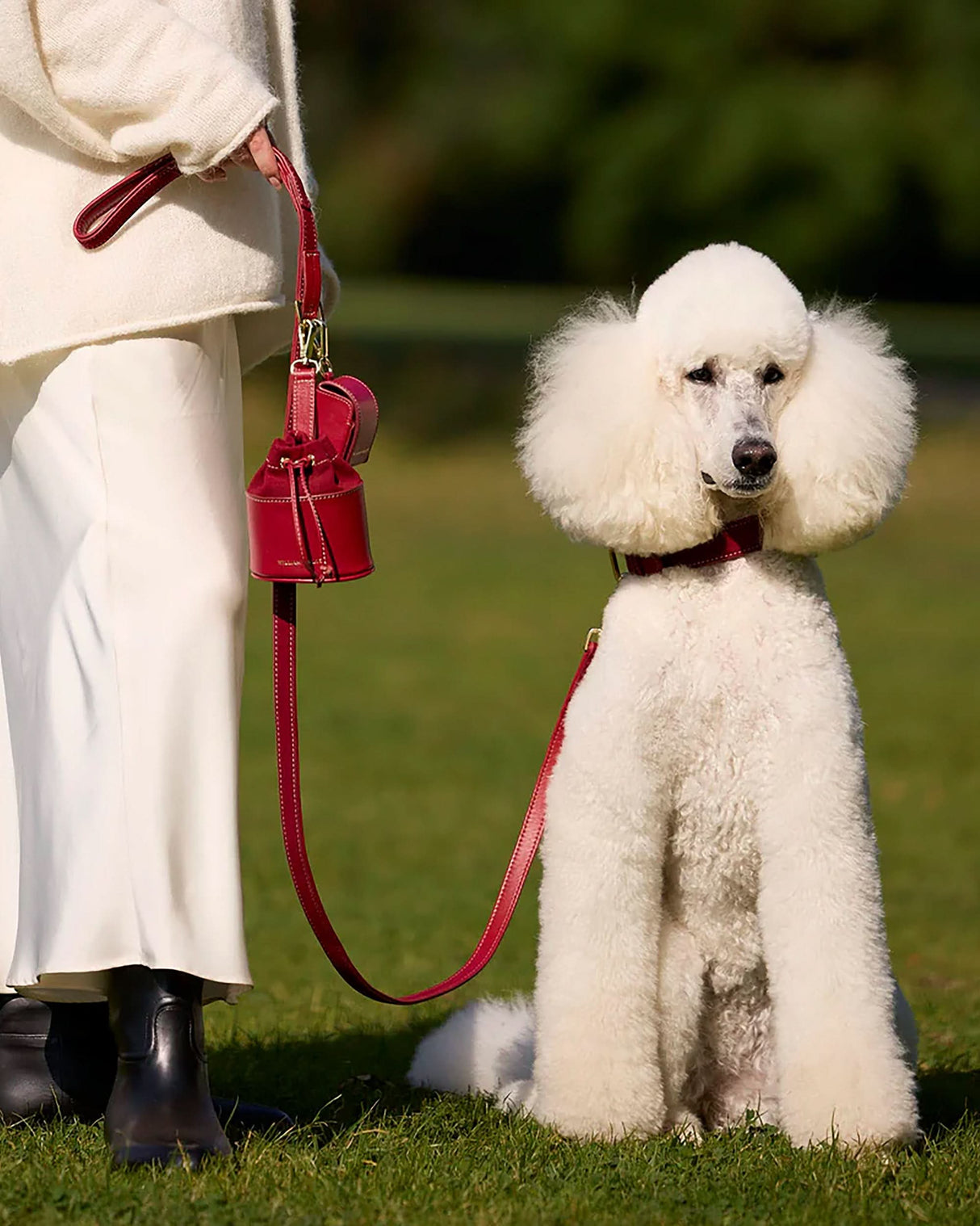 Luxe Suede Leather Dog Collar | קולר עור זמש לכלב