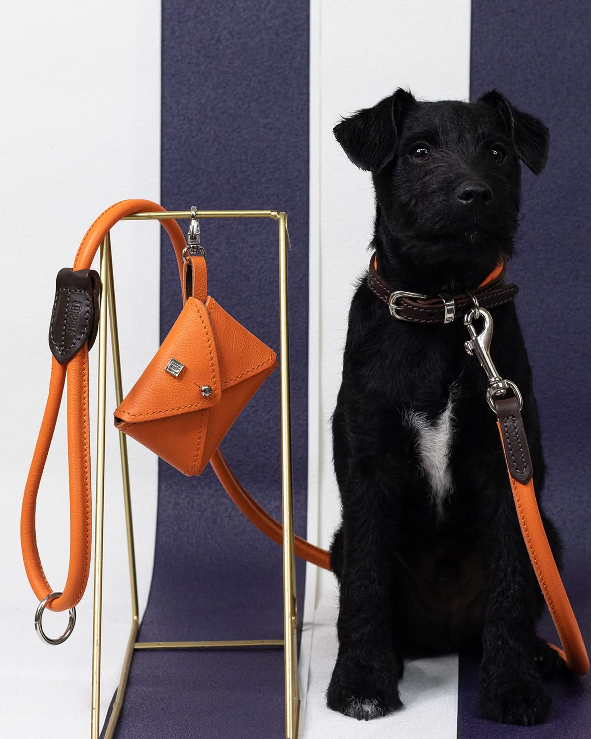 PooSh Poo Bags Holder | נרתיק לשקיות איסוף לכלב