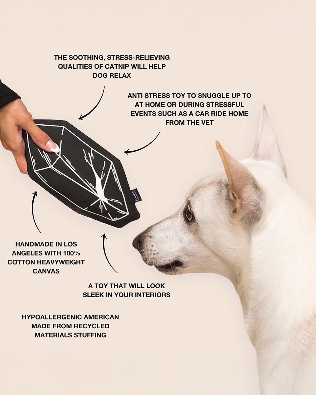 CATNIP TOY FOR DOGS | צעצוע קטניפ לכלב