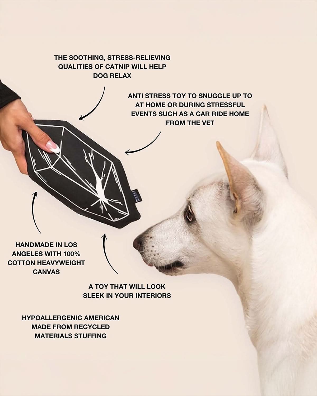 CATNIP TOY FOR DOGS | צעצוע קטניפ לכלב