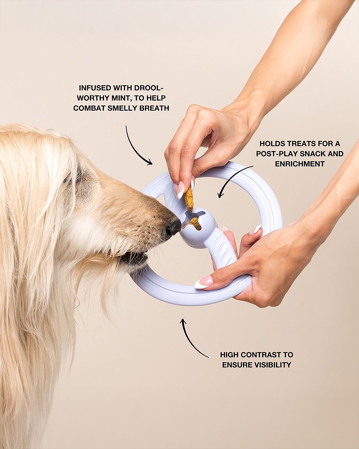 FRISBEE DOG TOY | משחק פריזבי לכלב