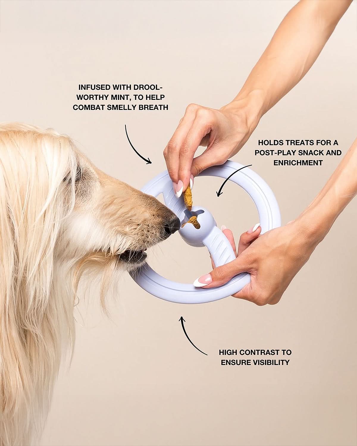 FRISBEE DOG TOY | משחק פריזבי לכלב